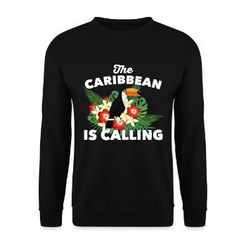 "Die Karibik ruft" Inselurlaub - Unisex Pullover - Schwarz - Vorne - Alina (178cm) & Michal (187cm)