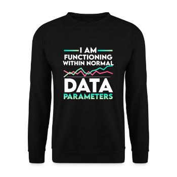 Paramètres US Flag Computer Data Scientist - Sweat-shirt Unisexe - noir - Devant - Alina (178cm) & Michal (187cm)