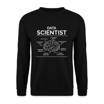 Datenwissenschaftler Data Analyst - Unisex Pullover - Schwarz - Vorne - Alina (178cm) & Michal (187cm)