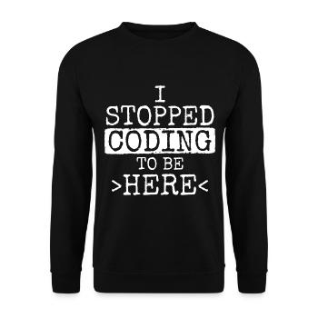 Software Ingenieur Informatiker Programmierer - Unisex Pullover - Schwarz - Vorne - Alina (178cm) & Michal (187cm)