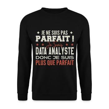 Data Analyst, der Traumberuf im Rampenlicht - Unisex Pullover - Schwarz - Vorne - Alina (178cm) & Michal (187cm)