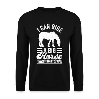 Clydesdale Reiter Für Zugpferdbesitzer - Sweat-shirt Unisexe - noir - Devant - Alina (178cm) & Michal (187cm)