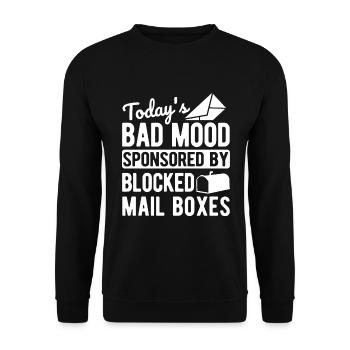 Briefträger Und Paket-Zusteller Für Postboten - Unisex Pullover - Schwarz - Vorne - Alina (178cm) & Michal (187cm)