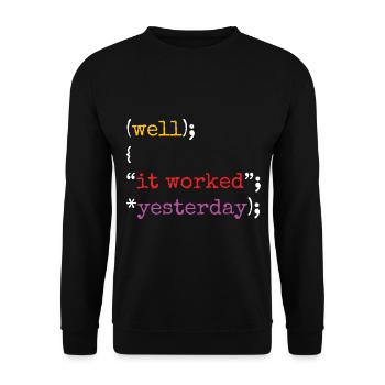 Software Ingenieur Informatiker Programmierer - Unisex Pullover - Schwarz - Vorne - Alina (178cm) & Michal (187cm)