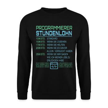 Programmierer Stundenlohn - Unisex Pullover - Schwarz - Vorne - Alina (178cm) & Michal (187cm)