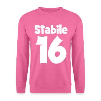 16 Geburtstag Junge Geschenk lustig 16. Ehrentag - Unisex Pullover - Pink - Vorne