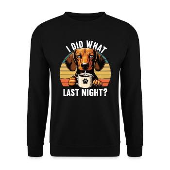 I Did What Last Night Dackel Dackelbesitzer Teckel - Unisex Pullover - Schwarz - Vorne - Alina (178cm) & Michal (187cm)
