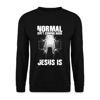Normal Isn't Coming Back Jesus Is - Unisex Pullover - Schwarz - Vorne - Alina (178cm) & Michal (187cm)
