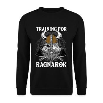 Formation pour Ragnarok I Odin Vikings - Sweat-shirt Unisexe - noir - Devant - Alina (178cm) & Michal (187cm)