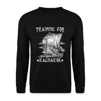 Entraînement pour Ragnarok I Viking Sword - Sweat-shirt Unisexe - noir - Devant - Alina (178cm) & Michal (187cm)