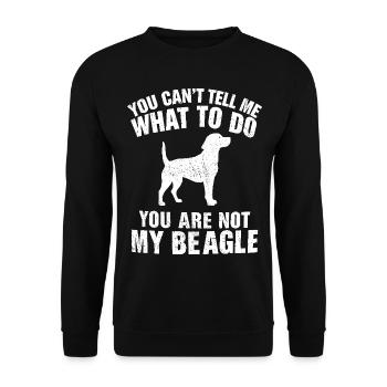 Funny Beagle Men Women Hound Beagle Dog Lovers - Sweat-shirt Unisexe - noir - Devant - Alina (178cm) & Michal (187cm)