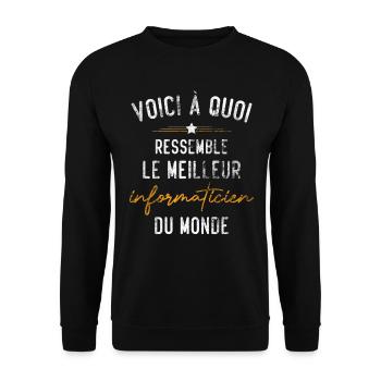 Cadeau le meilleur informaticien du monde - Sweat-shirt Unisexe - noir - Devant - Alina (178cm) & Michal (187cm)