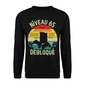 Level 65 Cleared - Unisex Sweatshirt - black - Front - Alina (178cm) & Michal (187cm)