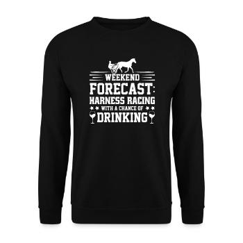 Trotting Horse, Trotting Racing, Equestrian Sports, Horses - Unisex Sweatshirt - black - Front - Alina (178cm) & Michal (187cm)