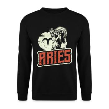 Sternzeichen Tierkreis Zeichen Widder Astrologie - Unisex Pullover - Schwarz - Vorne - Alina (178cm) & Michal (187cm)
