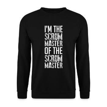Scrum Master Software Docker Geek Agile - Unisex Sweatshirt - black - Front - Alina (178cm) & Michal (187cm)