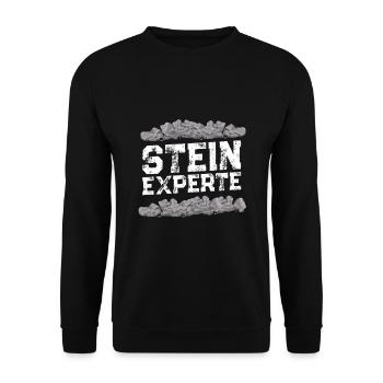 Stein Experte - Unisex Pullover - Schwarz - Vorne - Alina (178cm) & Michal (187cm)