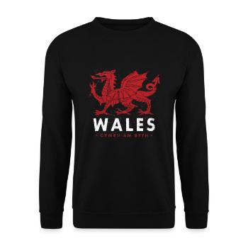 WALES WALISER DRACHE FLAGGE BANNER GESCHENK - Unisex Pullover - Schwarz - Vorne - Alina (178cm) & Michal (187cm)