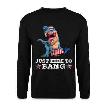 Trex 4 juillet Dinosaur Fireworks Drapeau américain - Sweat-shirt Unisexe - noir - Devant - Alina (178cm) & Michal (187cm)