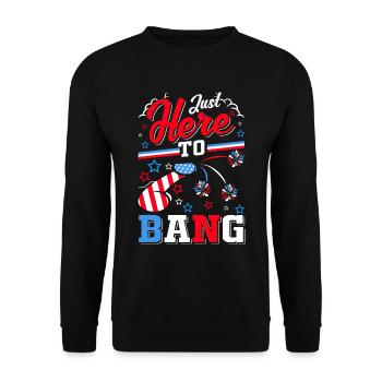 Feuerwerk Erwachsene Humor USA 4. Juli - Unisex Pullover - Schwarz - Vorne - Alina (178cm) & Michal (187cm)