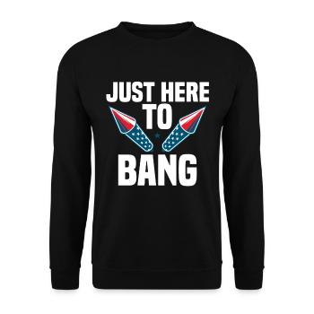 Feux d’artifice Humour Amérique 4 juillet - Sweat-shirt Unisexe - noir - Devant - Alina (178cm) & Michal (187cm)