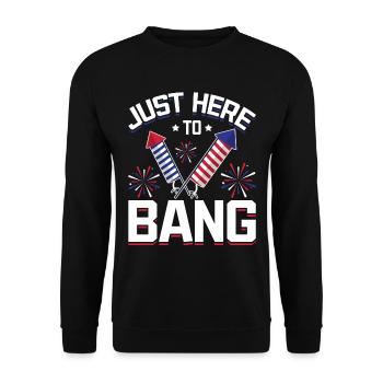 Feux d’artifice Humour Drapeau américain 4 juillet - Sweat-shirt Unisexe - noir - Devant - Alina (178cm) & Michal (187cm)