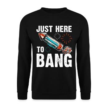 Fireworks Director Humor USA Lustig 4 juillet - Sweat-shirt Unisexe - noir - Devant - Alina (178cm) & Michal (187cm)