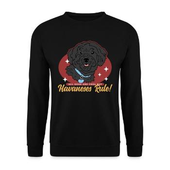 Havaneser Hundehalter Hundebesitzer Geschenk - Unisex Pullover - Schwarz - Vorne - Alina (178cm) & Michal (187cm)