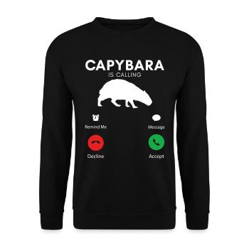 Lustige Capybara Humorvolle Capybaras - Unisex Pullover - Schwarz - Vorne - Alina (178cm) & Michal (187cm)