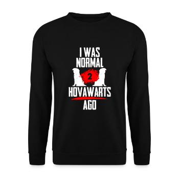 Ich war normal 2 Hovawarts voher - Unisex Pullover - Schwarz - Vorne - Alina (178cm) & Michal (187cm)