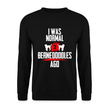 Ich war normal 2 Bernedoodles voher - Unisex Pullover - Schwarz - Vorne - Alina (178cm) & Michal (187cm)