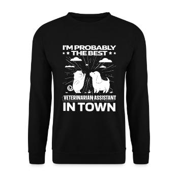 Tierarzthelfer Tierarzthelferin Katze Hund - Unisex Pullover - Schwarz - Vorne - Alina (178cm) & Michal (187cm)