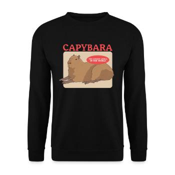 Capybara Capybaras Cadeau - Sweat-shirt Unisexe - noir - Devant - Alina (178cm) & Michal (187cm)
