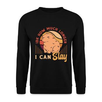 Capybara IDK How Much Longer I Can Slay Pet Owner - Unisex Pullover - Schwarz - Vorne - Alina (178cm) & Michal (187cm)