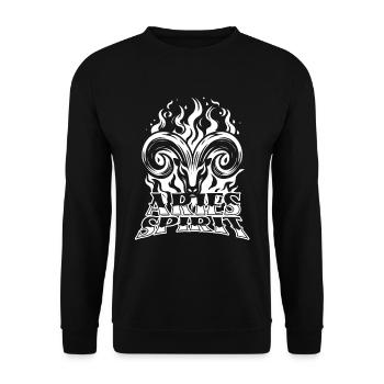 Widder Feuergeist - Unisex Pullover - Schwarz - Vorne - Alina (178cm) & Michal (187cm)