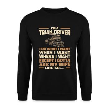 Train Driver Train Driver - Unisex Sweatshirt - black - Front - Alina (178cm) & Michal (187cm)