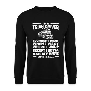 Train Driver Train Driver - Unisex Sweatshirt - black - Front - Alina (178cm) & Michal (187cm)