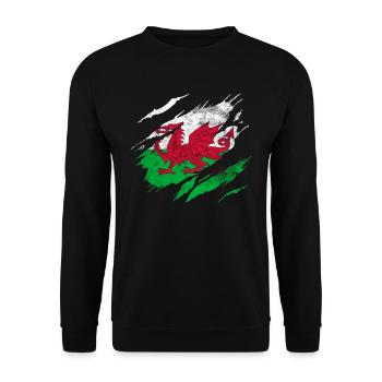 Pays de Galles Drapeau - Sweat-shirt Unisexe - noir - Devant - Alina (178cm) & Michal (187cm)