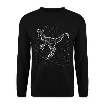 Velociraptor Raptor Dinosaurier Sternzeichen - Unisex Pullover - Schwarz - Vorne - Alina (178cm) & Michal (187cm)