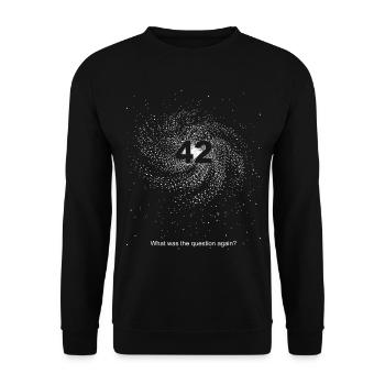 The Answer is 42 - what was the question again - Unisex Sweatshirt - black - Front - Alina (178cm) & Michal (187cm)