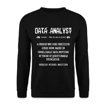 Data Analyst - Unisex Sweatshirt - black - Front - Alina (178cm) & Michal (187cm)
