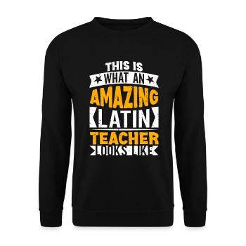 Latin teacher Latin teacher Latin teacher - Unisex Sweatshirt - black - Front - Alina (178cm) & Michal (187cm)