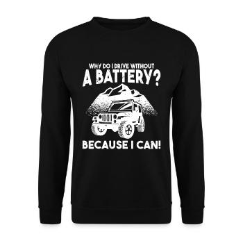 Why do I drive without a battery Anti e-Car - Unisex Pullover - Schwarz - Vorne - Alina (178cm) & Michal (187cm)