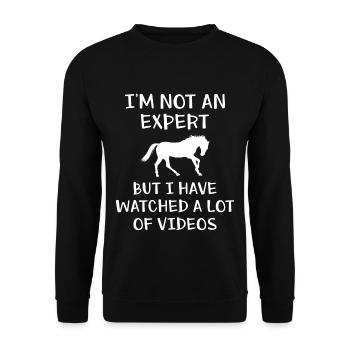 Reiterin Ich bin kein Experte Lustig Reiten - Unisex Pullover - Schwarz - Vorne - Alina (178cm) & Michal (187cm)