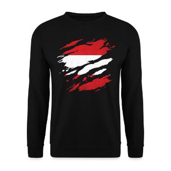 Austria - National flag, scratches, cracks - Unisex Sweatshirt - black - Front - Alina (178cm) & Michal (187cm)