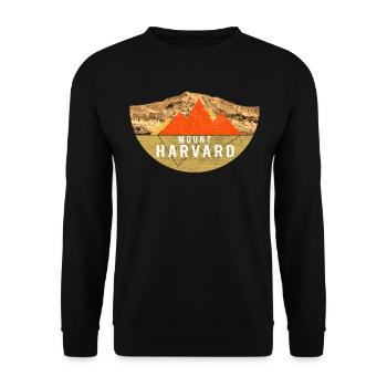 Vintages USA-Wandern - Berg Harvard - Unisex Pullover - Schwarz - Vorne - Alina (178cm) & Michal (187cm)