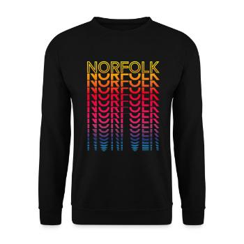 Retro Nostalgic USA City - Rainbow Norfolk - Unisex Sweatshirt - black - Front - Alina (178cm) & Michal (187cm)