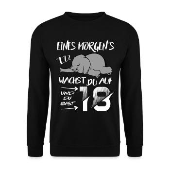 18 Jahre Elefant wacht auf ZZZ Schlafen Geburtstag - Unisex Pullover - Schwarz - Vorne - Alina (178cm) & Michal (187cm)