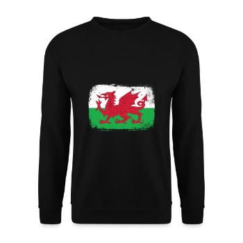 Wales - Unisex Pullover - Schwarz - Vorne - Alina (178cm) & Michal (187cm)
