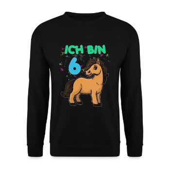 6 Jahre alt Pony Geburtstag - Unisex Pullover - Schwarz - Vorne - Alina (178cm) & Michal (187cm)